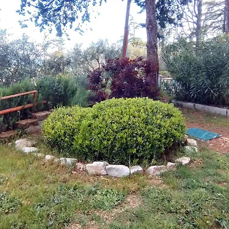 I Pini House בית נופש