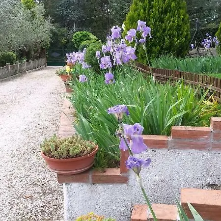 I Pini House בית נופש